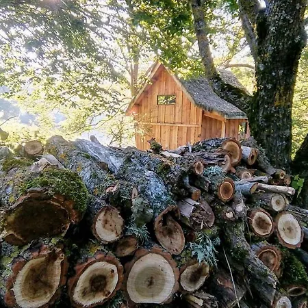 La Cabane Du Plateau * Freycenet-la-Cuche