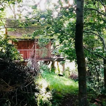 营地 La Cabane Du Plateau