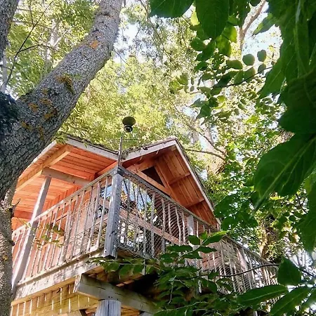 La Cabane Du Plateau Freycenet-la-Cuche